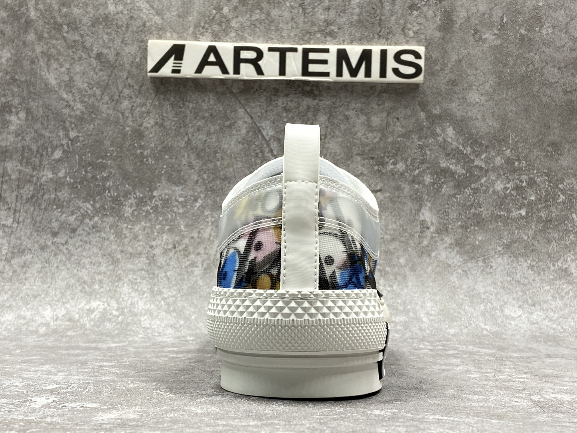 D*or b23 low top alex foxton oblique